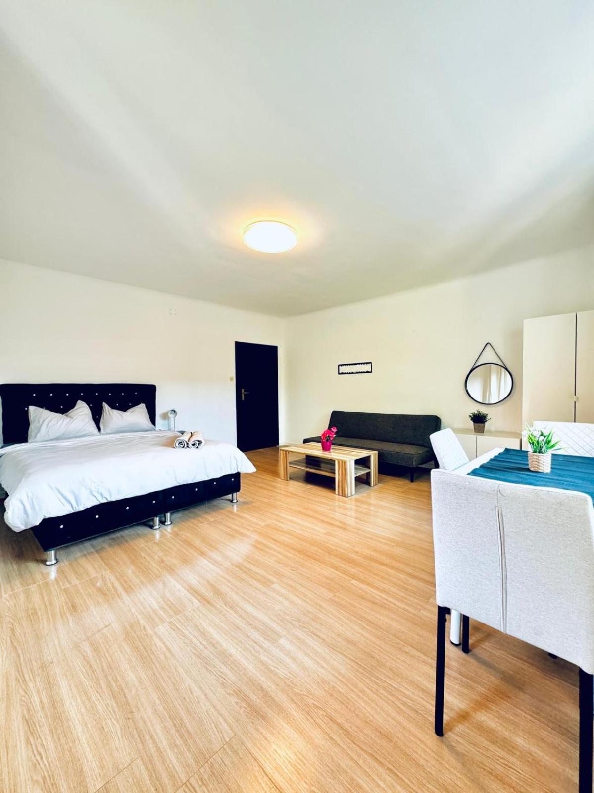 Spacious 6br Shared With Garden Near Danube For 16 Guests Apartment